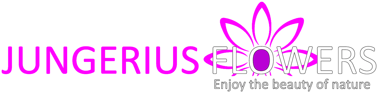 images/shoplogoimages/logo-jungeriusflowers-magentamagenta.png